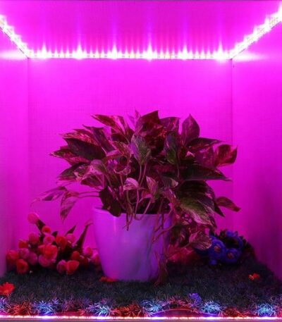 Ταινία LED Grow Light 30W 12VDC IP65