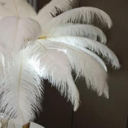 Ostrich Feather Επιτραπέζιο Φωτιστικό με πούπουλο D