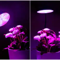 Grow Light LED Ανάπτυξης Φυτών