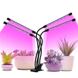 Grow Light LED