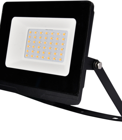 OMEGA30 LED FLOODLIGHT 30W 5500K IP65+EM