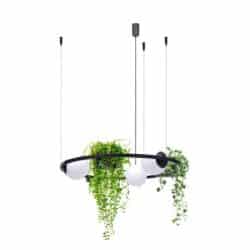 ZUMA LINE PENDANT PLANT XE BLACK